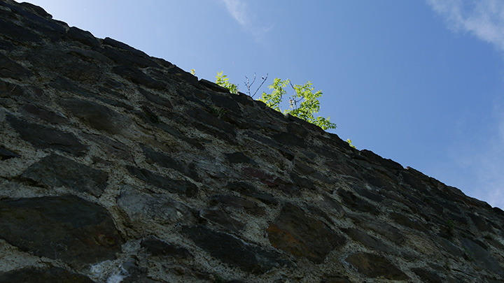 P1080529_720