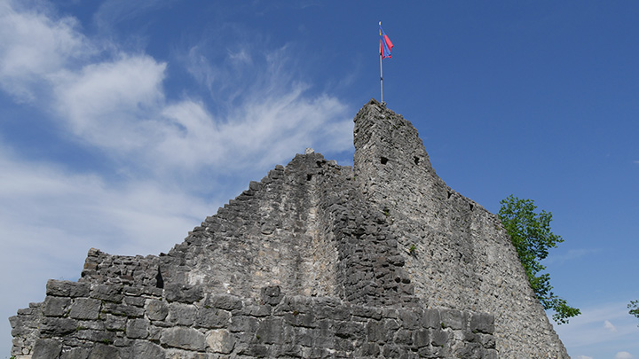 P1080546_720
