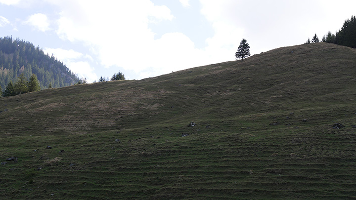 P1080703_720