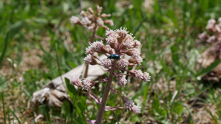 P1080835_720
