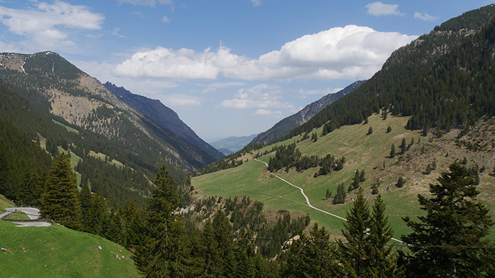 P1090054_720