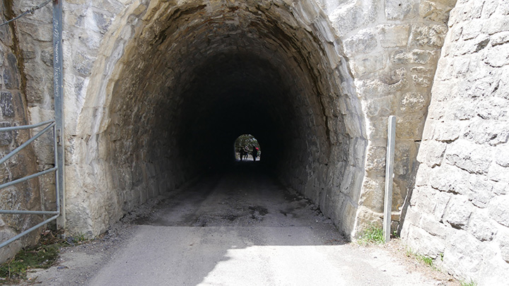 P1090061_720