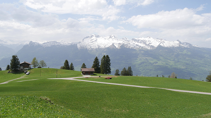 P1090097_720