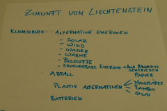 Feedback_ZukunftvonLiechtenstein5