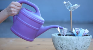Gießkanne die einen Blumetopf gießt aus dem Geldscheine wachsen