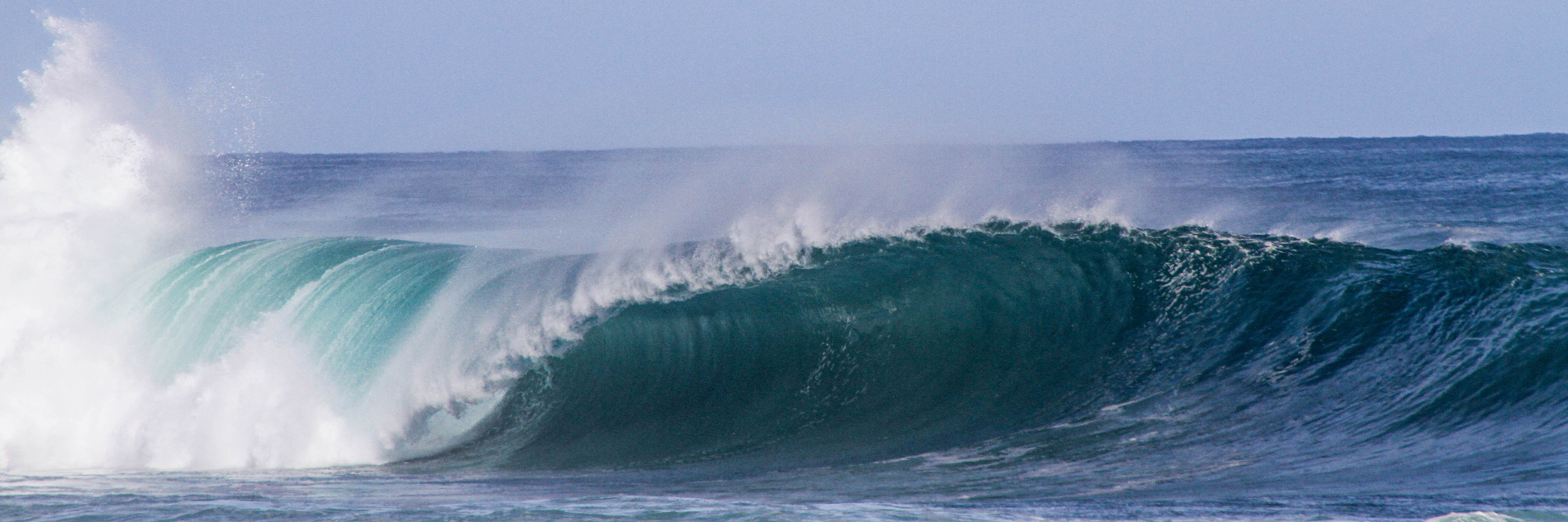 wavefrontal_header
