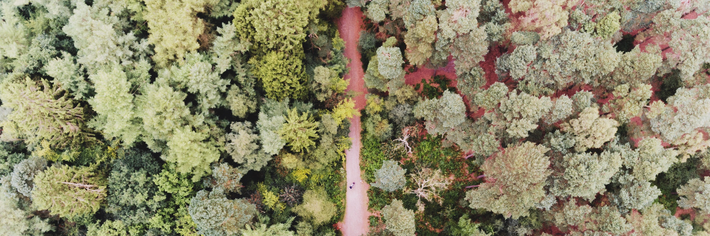 rog-shafi-rAiSFHBQuWY-unsplash(1)