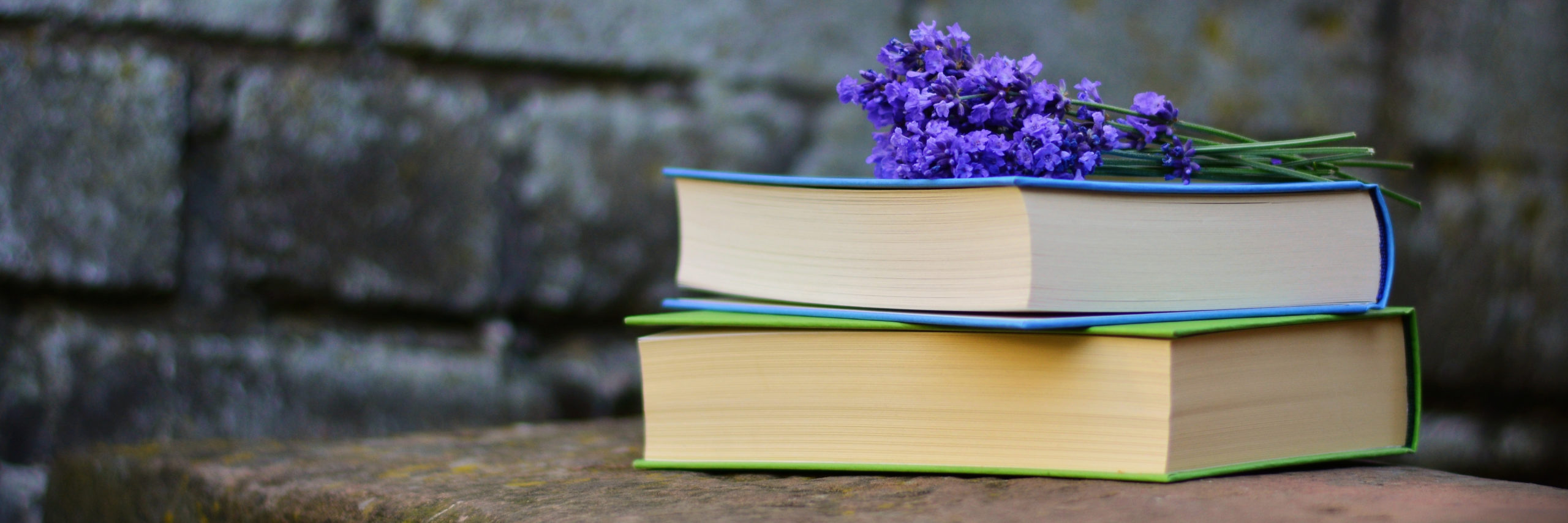 bench-blur-books-color-459791