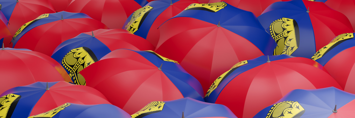 politisches system liechtenstein header