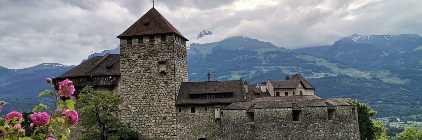 Berk im Camäleon
