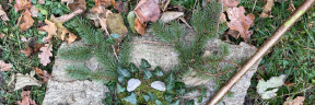 Header_Erlebnistag